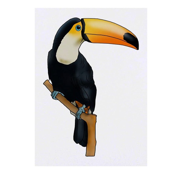 Azeeda 'Toucan' Temporäres Tattoo - Hautfreundlicher & Ungiftiger Abziehbild ·