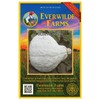 Everwilde Farms - 20 Blue Hubbard Winter Squash Seeds -