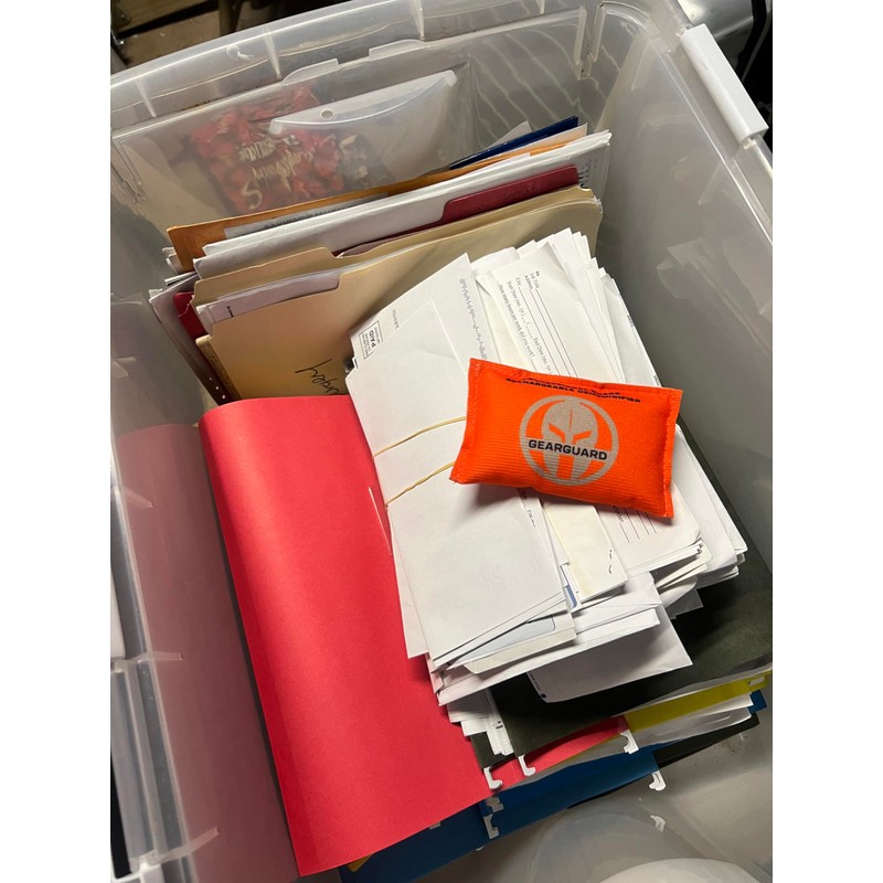 GearGuard 100g Professional Grade Rechargeable Dehumidifier - Desiccant Pack -