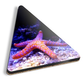 1 x Triangle Coaster - Neon Starfish Ocean Sea Cork Backed MDF Glossy Tea Coffee Accessory #51543