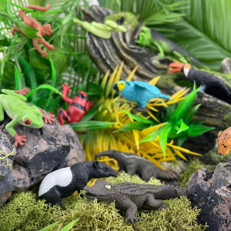Safari Ltd. Rainforest TOOB - 11 Figurines: Macaw, Frogs, Toucan,