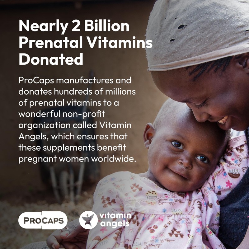 ANDREW LESSMAN Quercetin 500mg - 60 Capsules - 500 mg