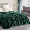 Exclusivo Mezcla Plush Fuzzy Fleece Bed Blanket Queen Size, Super