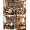 Handmade 8 Old Fashioned Book Store with Cats glossy blank