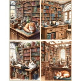Handmade 8 Old Fashioned Book Store with Cats glossy blank fold out Note Card envelopes