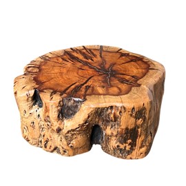 THY COLLECTIBLES Natural Tree Trunk Stump Stool with Live Edge Solid Wood Plant Stand, Stool, Garden Bench, Side Table, End Table - D8.6 in x H9.5 in