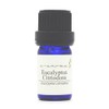 Eucalyptus Citriodora (Lemon Eucalyptus) 30ml e-aroma Essential Oil Essential Oil