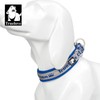 WINHYEPET True Love Reflective Dog Collar, Nylon Webbing, Comfortable and