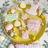 LissieLou Mini Easter Chick Face Cookie Stamp Easter Icing Fondant