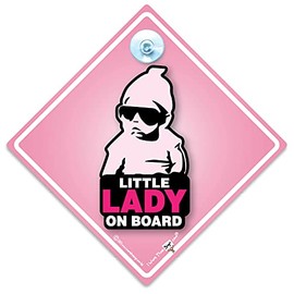 Little Lady on Board Car Sign, Little Lady On Board Sign, Baby On Board Sign, Baby On Board Car Sign, Grandchild On Board Sign, Baby Car Sign, 14 cm x 14cm