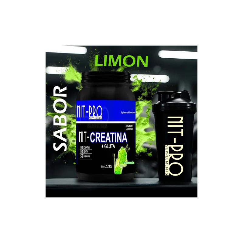 Suplemento Creatina + Glutamina Nit-pro 1kg En Polvo Sabores