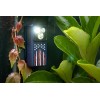 Olight Oclip Ultra Stars & Stripes Clip-On Light, Flood, Spot,
