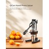 QCen Professional Cast Iron Manual Juicer, Heavy Duty Citrus Press