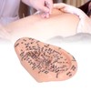 6.7in Ear Acupuncture Model Silicone Engraving Ear Massage Acupuncture Model