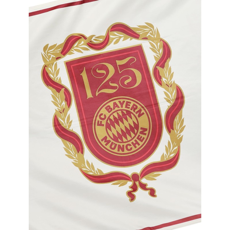 FC Bayern München I Hoisting Flag 180 x 120 cm