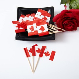 GentleGirl 100 Pcs Canada Flag Canadian Toothpick Flags Small Mini Canadian Cupcake Toppers Stick Flags Decorations