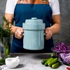 Fermentation Crock Jar Sauerkraut Crock - For Onggi Kimchi Pot