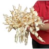 BUNBAN Coniferous wood shavings handmade sustainable rustic packaging or decoration