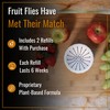 Dr. Killigan's Reusable Fruit Fly Traps for Indoors - Washable