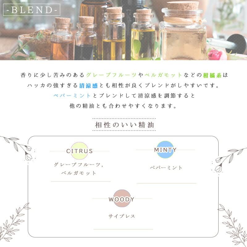 Japanese Type Thin Goods (Peppermint Oil) 0.3 fl oz (10