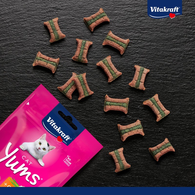 Vitakraft Cat Yums Chicken / Catnip 40 g