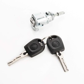 LST Lock Cylinder Door Lock with Two Keys Front Left New
