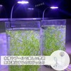 PAVIKE Aquarium Clip Light, Lighting, Small Growth Light, Clip-on Aquarium