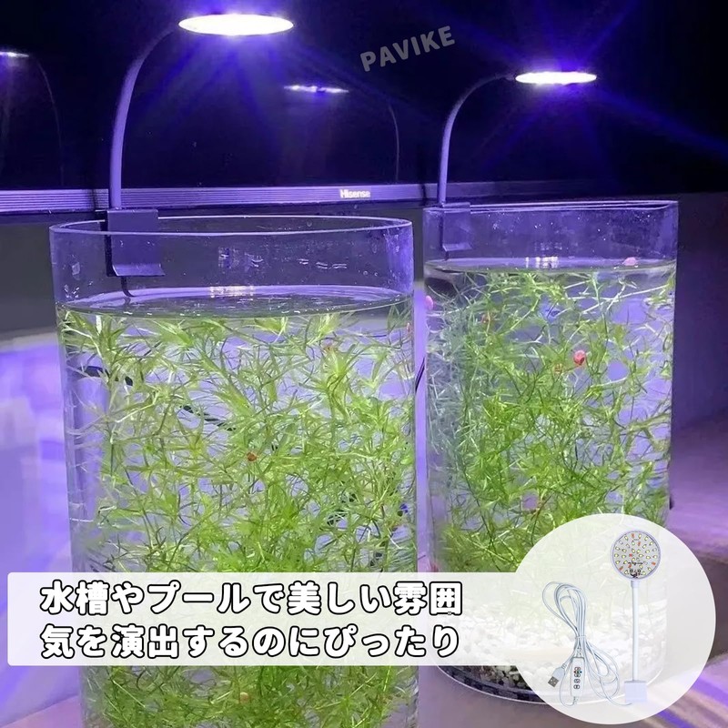 PAVIKE Aquarium Clip Light, Lighting, Small Growth Light, Clip-on Aquarium
