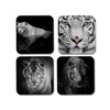 4 x Square White Tiger Coasters - Animals Safari Wildlife