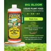 FoxFarm - Big Bloom Plant Food, Liquid Fertilizer Concentrate for