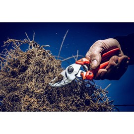 Original Löwe Garden Shears, Metal