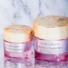 Estée Lauder Resilience Multi-Effect Crema Facial SPF 15