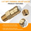 678169004 1/4" Thermal Release Valve for Pressure Washer