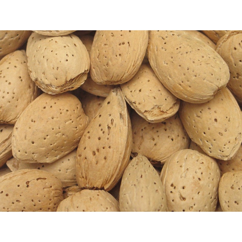 Yupik Almonds in Shell, 0.4Kg