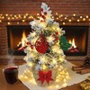 24 Inch 2 FT Pre-lit Snowy Mini Christmas Tree, Brelixo
