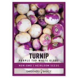 Turnip Seeds for Planting (Purple White Top Globe) Heirloom, Non-GMO Vegetable Variety- 1 Gram Seeds Great for Summer, Fall and Winter Gardens by Gardeners Basics