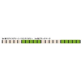X-Braid Custom PE Rashbone Line Tai Mule WX8 200m 0.6