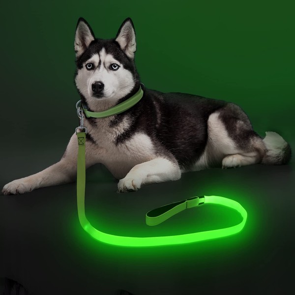 Colaseeme LED Dog Leash Light Up Dog Leash 4 Feet