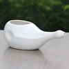 HealthGoodsIn Ceramic Neti Pot, Dishwasher Safe, for Nasal Cleansing +