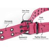 Canvas Double Grommet Hole Belt, Unisex, Double Prong Belts for