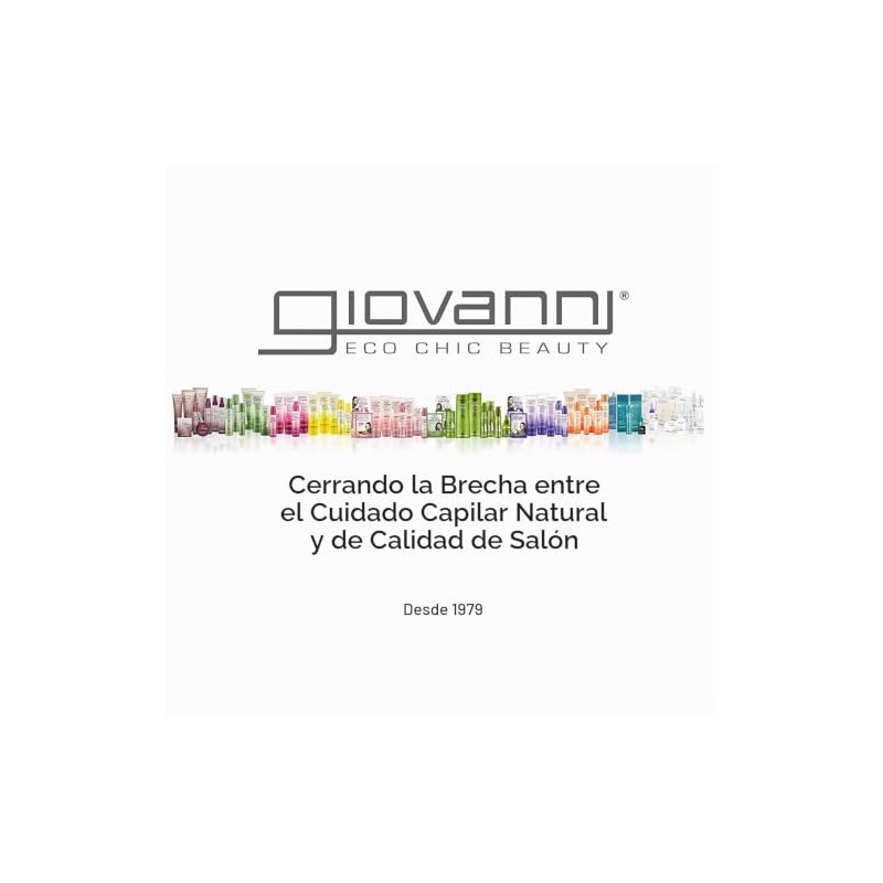 GIOVANNI COSMETICS - Eco Chic Direct Leave-In Conditioner- Weightless Moisture