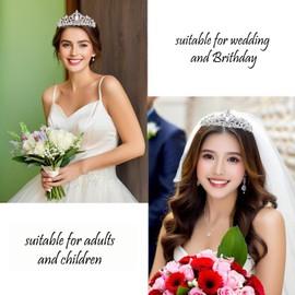 Arclhladin Queen Rhinestone Crown, Gold Wedding Crowns, Royal Princess Crystal Tiara Crown for Women Costume Party, Pageant,Prom Gifts (Silver White Crown)