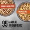 ORIJEN™ Chunks & Shreds Wet Cat Food Variety Pack: Original