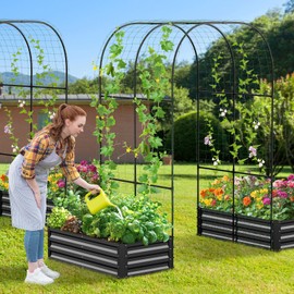 DoCred Galvanized Raised Garden Bed with 87" H Arch Trellis for Climbing Plants, Raised Outdoor Planter Garden Box with Climbing Netting for Gardening, Climbing Vegetables, Flower, Black