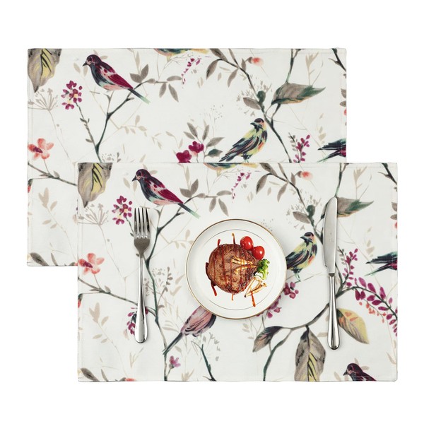 VOGOL Heat Resistant Placemats for Dining Table, Set of 2,