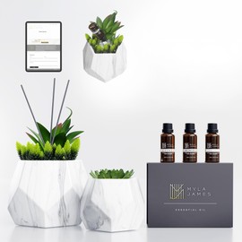2in1 Reed Diffusers for Home & Faux Succulents Plants Artificial Set-Ceramic Potted Succulents x2 Pcs, Home Fragrance w/Lavender, Lemongrass, Eucalyptus Essential Oilx3 bottles 30ml with 9 Reed Sticks