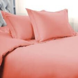 Bed Pillow Cases 2Pack Egyptian Cotton - 300 Thread Count 50X75cm Size Oxford Style Covers - 100% Natural Steen Super Soft Material Anti Allergic, Cooling Pillow cases (Pink)