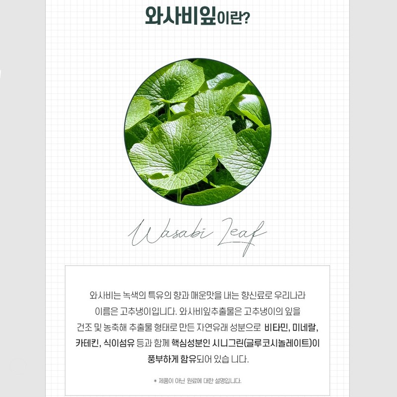 Newly 와사비잎 추출물 정 알약 이소비텍신 락토페린 모로오렌지 효능 3통