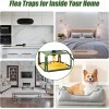 Paddsun 2 Green Flea Traps for Effective Pest Control