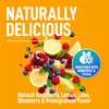 Keppi Electrolytes Powder Packets Assorted Flavors 30 Servings – No